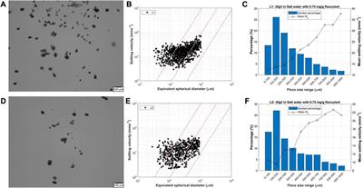 Effect of flocculation on turbidity currents